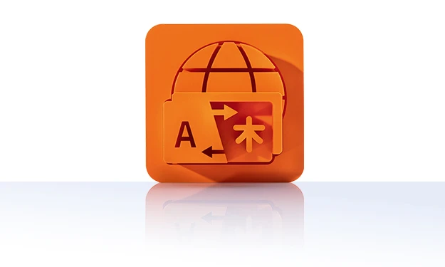 The symbol is unicolor orange and shows a stylized globe in the background. In the foreground is a translation window with a large